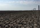 Crece la preocupación por sequías en la zona de Los Llanos.