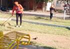 Obras y Servicios Públicos: Siguen los operativos de desmalezado en espacios verdes.