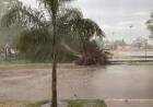 Una fuerte tormenta provocó daños en Chamical.