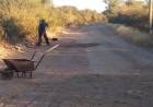 Distrito El Tala: Continua el programa de mantenimiento y reparación de caminos.