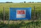 INTA ofrece becas para dos extensiones del interior.