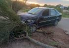 Milagro: Un conductor en estado de ebriedad chocó contra un árbol