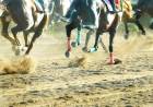 Murió un caballo en el hipódromo de Catuna