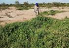 Seguimiento de resultados en el Campo Sol de Mayo en la lucha contra la desertificación