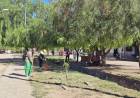 Operativos de Limpieza y Desmalezamiento, se continua con el embellecimiento de espacios publicos  