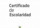 Todo lo que tenes que saber sobre los "Certificados de Escolaridad"