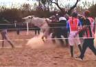 Chamical: Denuncian brutal maltrato animal durante una carrera de caballos en El Quebrachal
