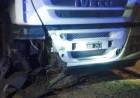 Catuna: Camión chocó una vaca en Ruta 79