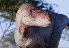Descubren en La Rioja una nueva especie de dinosaurio carnívoro: el Vitosaura