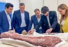La Rioja presentó una investigación sobre dinosaurios publicada en Nature y que recorre el mundo