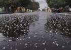 Tormentas y granizo en el sur riojano: Catuna registró 23 milímetros