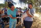 Cuidado Responsable: Más de cuarenta mascotas vacunadas contra la rabia