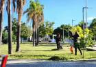 Mantenimiento y cuidado de nuestros espacios verdes