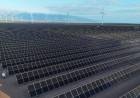 La Rioja inaugura el nuevo Parque Solar Arauco