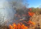 Ulapes: sofocaron un incendio de pastizales que se propagó por el fuerte viento