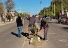 El municipio avanza con un plan de forestación y embellecimiento de los espacios públicos