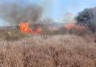 Incendio forestal en Ulapes: el fuego fue sofocado tras avanzar rápidamente por los fuertes vientos