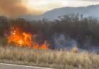 Portezuelo: un incendio de gran magnitud se propagó cerca de la Ruta 29