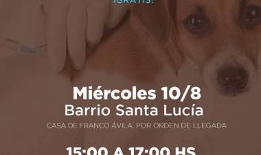 Chepes: Vacunación antirrábica en Barrio Santa Lucía.