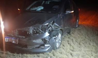 Familia tucumana se accidentó en Portezuelo, tras embestir un jabalí.