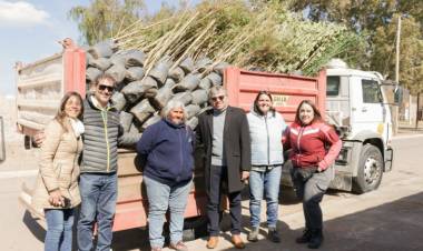 El Plan Forestar llegó a dos departamentos de Los Llanos.