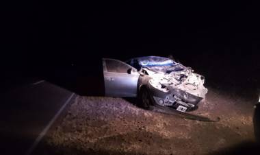 Policías chocaron un animal en la ruta 78: Sufrieron heridas leves.