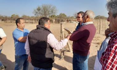 Detectan finca con trabajadores sin condiciones de seguridad e higiene.
