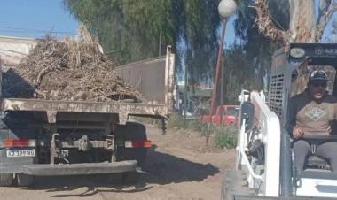 Parques y paseos: Operativo de limpieza y desmalezamiento en la zona del ferrocarril.