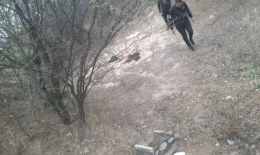 Ulapes: Delincuentes robaron gallinas de la escuela agropecuaria General Manuel Belgrano.