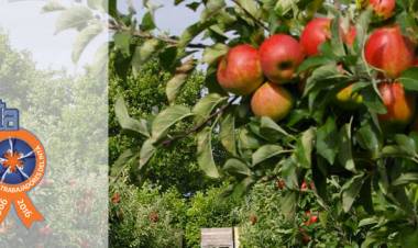 APINTA: Crece el malestar entre los trabajadores del INTA.