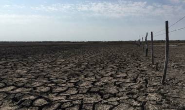 Crece la preocupación por sequías en la zona de Los Llanos.