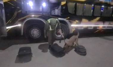 En un control de Gendarmería detienen a un hombre que trasladaba más de 6 kilos cocaína de Salta a La Rioja.