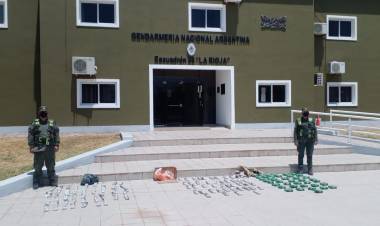 La Rioja: Transportaban 33 kilos de hojas de coca dentro de encomiendas.