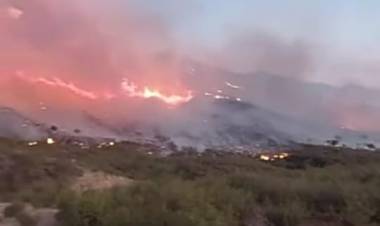 Chilecito: Enorme y voraz incendio forestal golpea a guanchín.