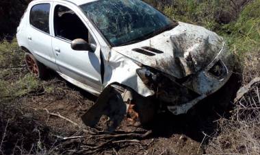 Perdió el control del auto, derrapó y chocó contra unos arbustos.