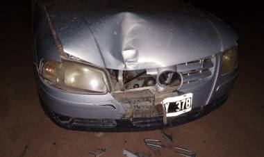 Malanzan: Un auto choca con una vaca por Ruta Provincial N° 29.