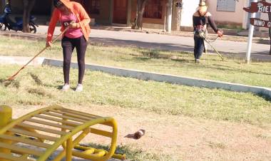 Obras y Servicios Públicos: Siguen los operativos de desmalezado en espacios verdes.