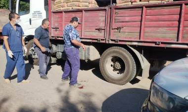 Milagro: Un trabajador estaba sacando la carpa de un acoplado y cayó pesadamente al piso.