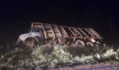 Un camión cargado de leña volcó en un canal.