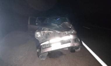 Camioneta del CONICET chocó con un animal equino en Ruta N°76.