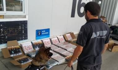 La Aduana incautó 483 vinilos de Vilma Palma e Vampiros valuados en $5 millones.