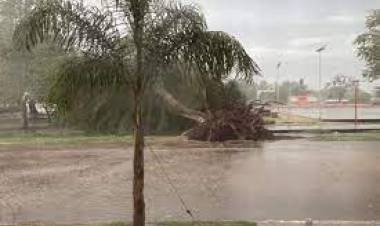 Una fuerte tormenta provocó daños en Chamical.