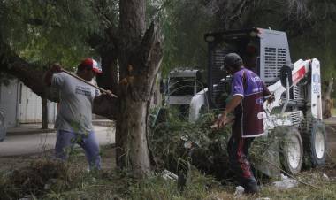 Coordinación de Vialidad municipal: La municipalidad ejecuta tareas de limpieza en calles y avenidas.