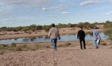 Campo Municipal: Recepción de animales y reparación de insfraestructura.