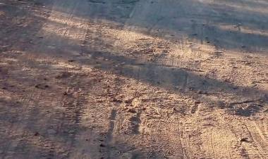 Zona Sur: Arreglo de caminos rurales.