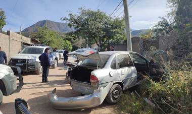 Robo de terneros y persecución en El Cantadero.