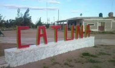 Un dogo mató a casi veinte gallinas en Catuna.