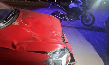 Chamical: Una camioneta colisionó con un animal vacuno