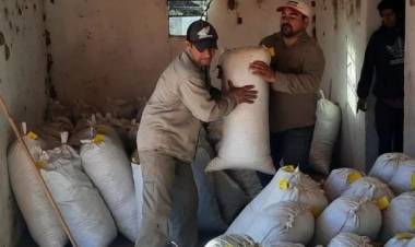 Temporada 2023: Entrega de carga de jarrilla seca al laboratorio Garre Guevara