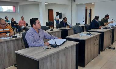 Chepes: Concejales proponen creación de la bandera  departamental